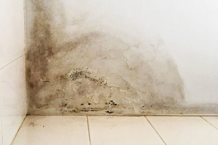 ¿Qué significan los colores de las manchas de humedad en las paredes y techos?