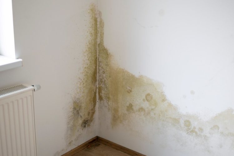 ¿Qué significan los colores de las manchas de humedad en las paredes y techos?