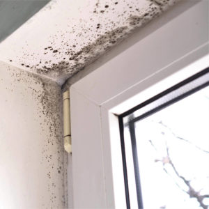 Humedad por condensación